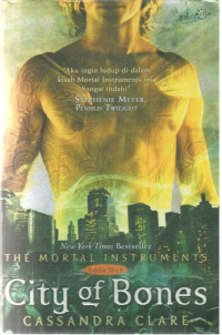 The mortal instruments: city of bornes