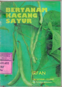 Image of Bertanam kacang sayur : Irfan