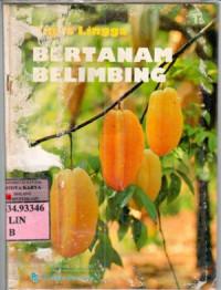 Image of Bertanam belimbing / Pinus Lingga