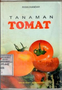 Image of Tanaman tomat : Rismunandar